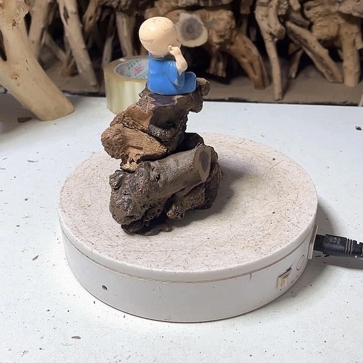 香榧木麻梨的小可爱来了