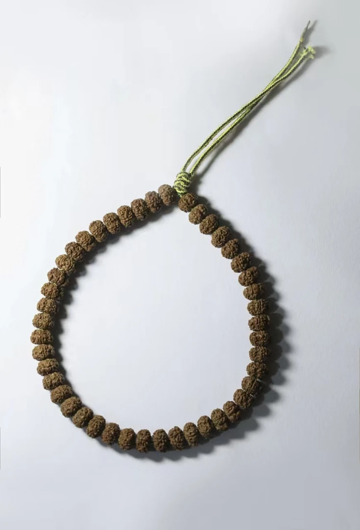 毕业级平细小金刚菩提手持同一棵树