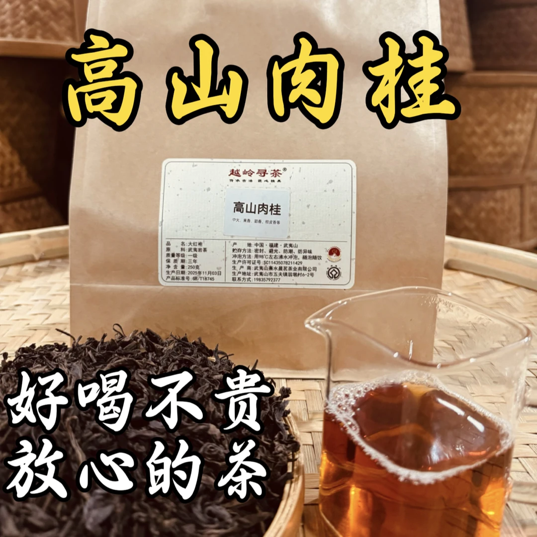 高山肉桂 武夷岩茶 大红袍 送礼自饮