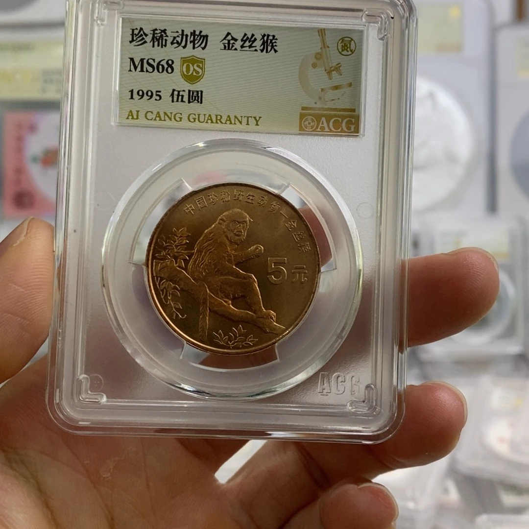 铜金丝猴68分OS。。。。。。。