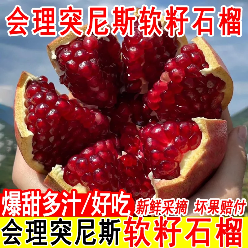 四川会理突尼斯软籽石榴正宗会理突尼斯软籽石榴新鲜采摘现摘现发