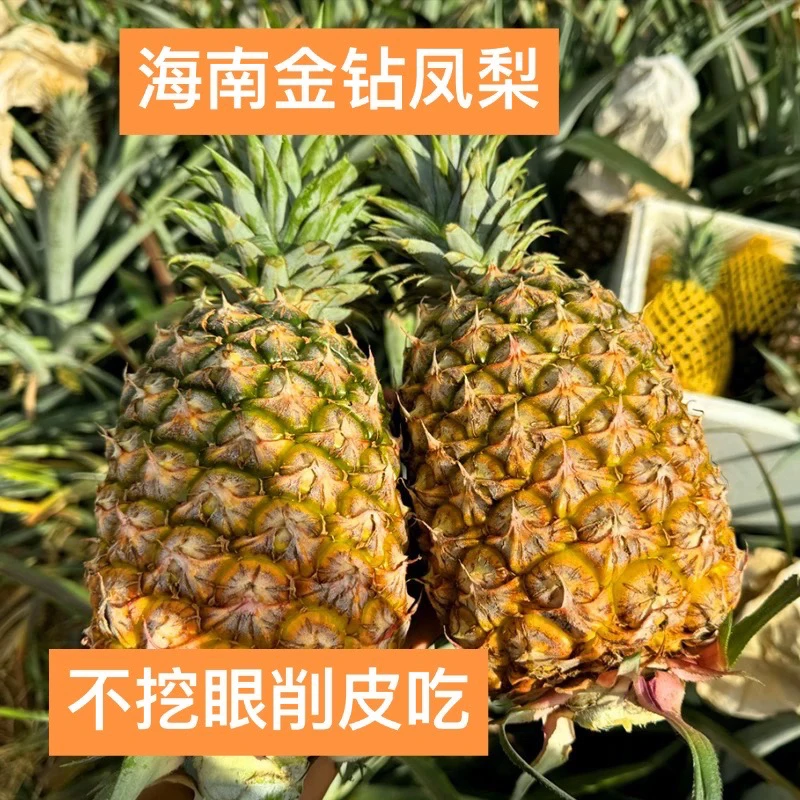 正宗海南金钻凤梨新鲜当季水果热带手撕凤梨非菠萝整箱包邮