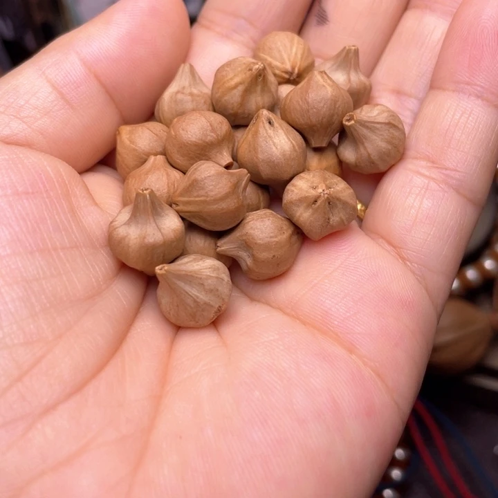 手串/手链橄榄核橄榄核异型1.2左右小蒜头