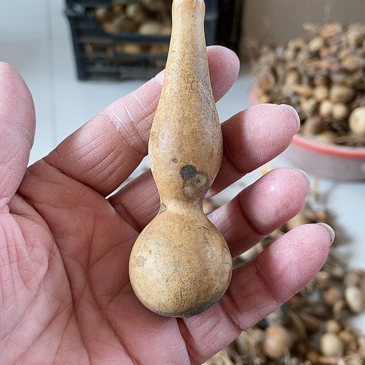 h h h h f h h sh s s