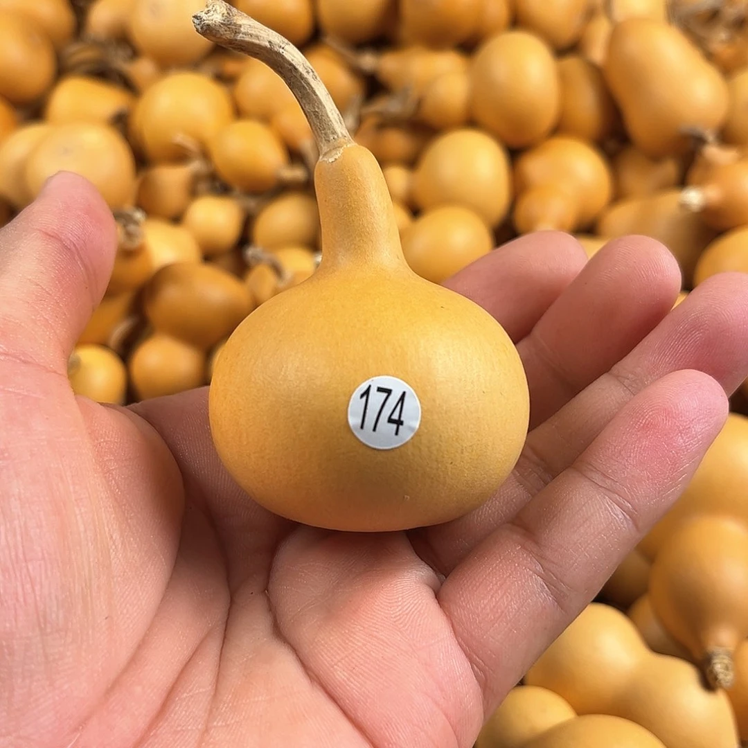 一葫芦葫芦葫芦葫芦葫芦174