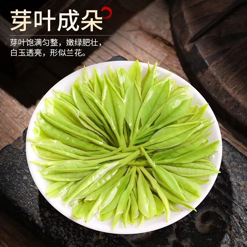 【安吉高山白茶2025明前精品A16】高山白茶 浓香耐泡 香气馥郁