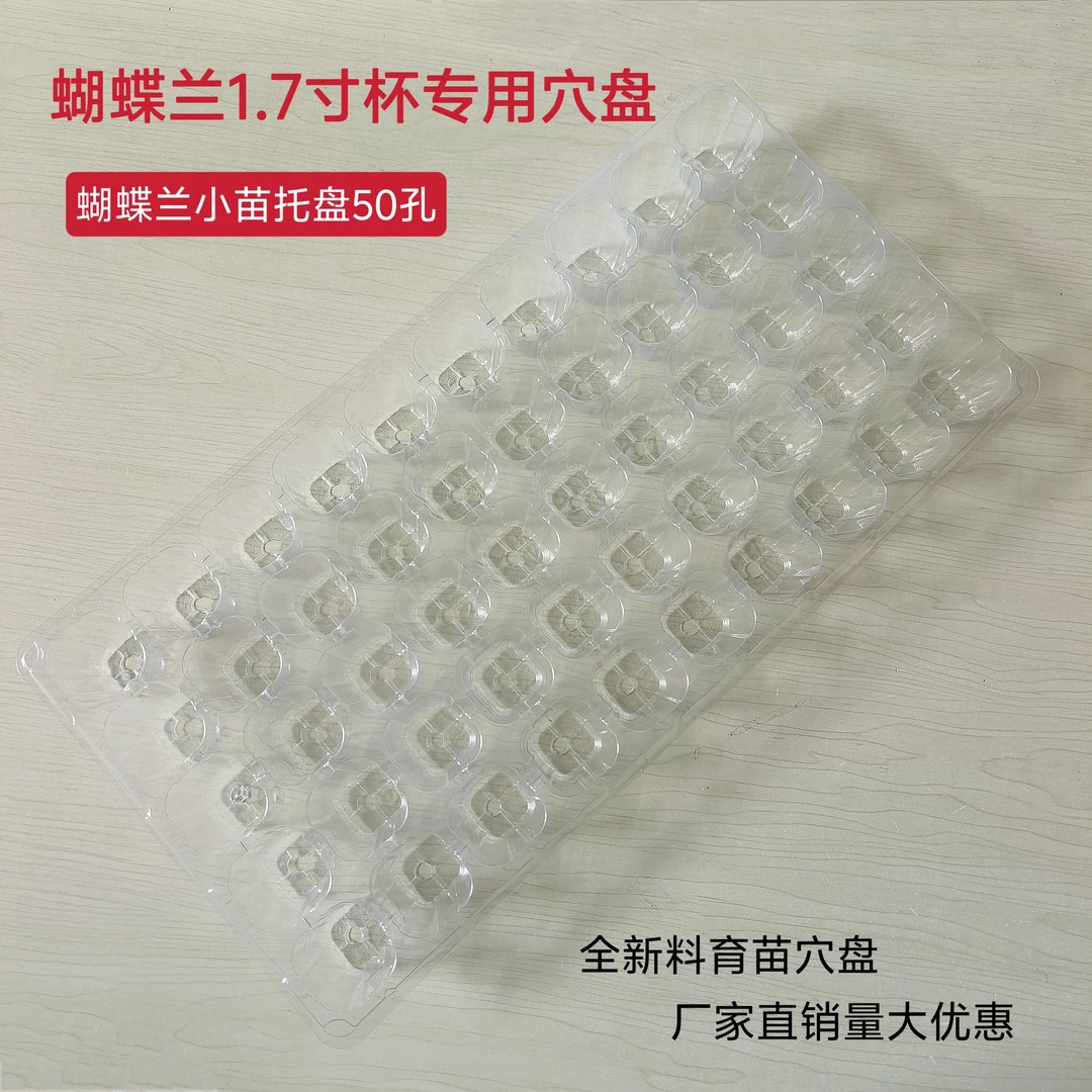 蝴蝶兰托盘全新料1.7寸杯专用育苗盘瓜果蔬菜育苗穴盘50孔育苗盘