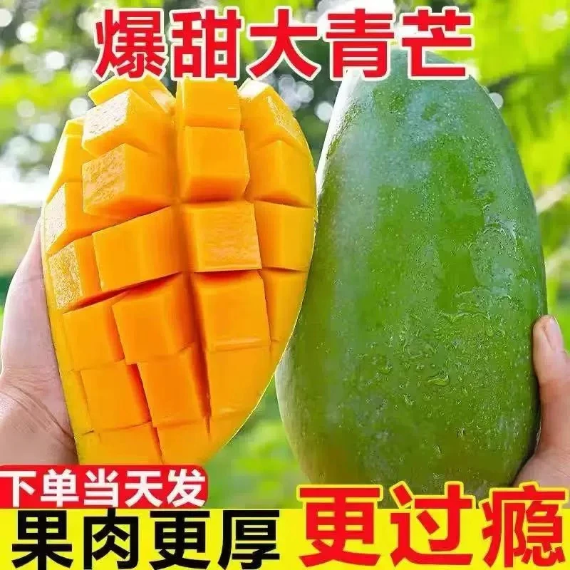 【放软再吃】越南大青芒果整箱5/9斤单果500g+爆甜多汁坏果包赔