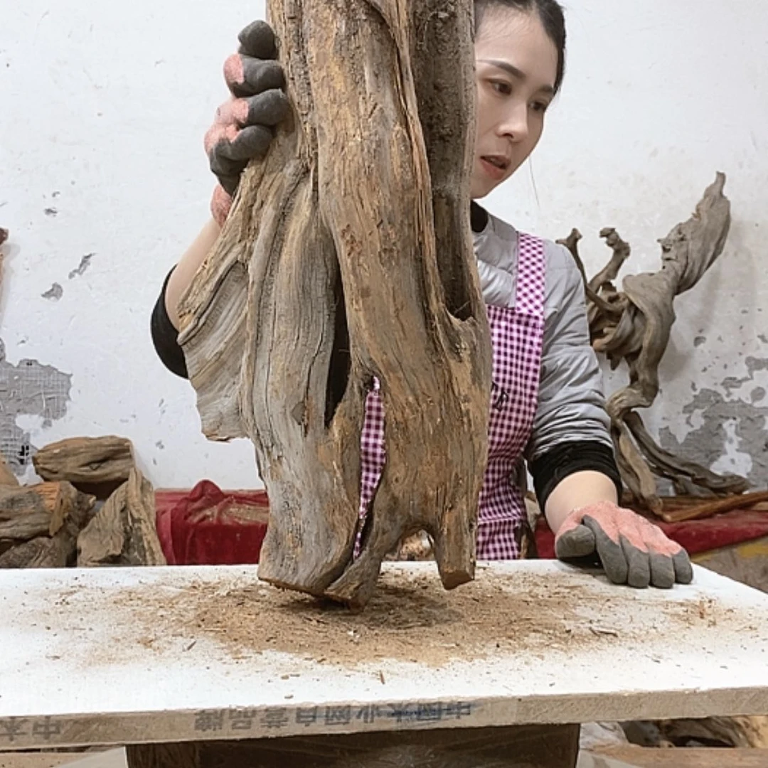 【闪购商品】柏木锦*阁我们都是好孩子