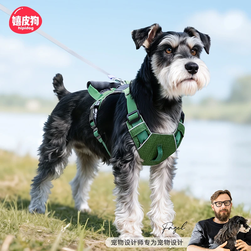嬉皮狗—狗狗牵引绳双环扣胸背带中小型犬大狗狗防爆冲遛狗绳2566