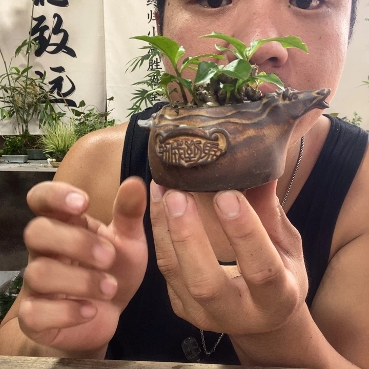 唅***雨无花朵退款拉黑拉黑309