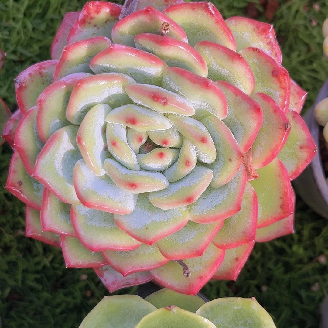 23号988888888888888