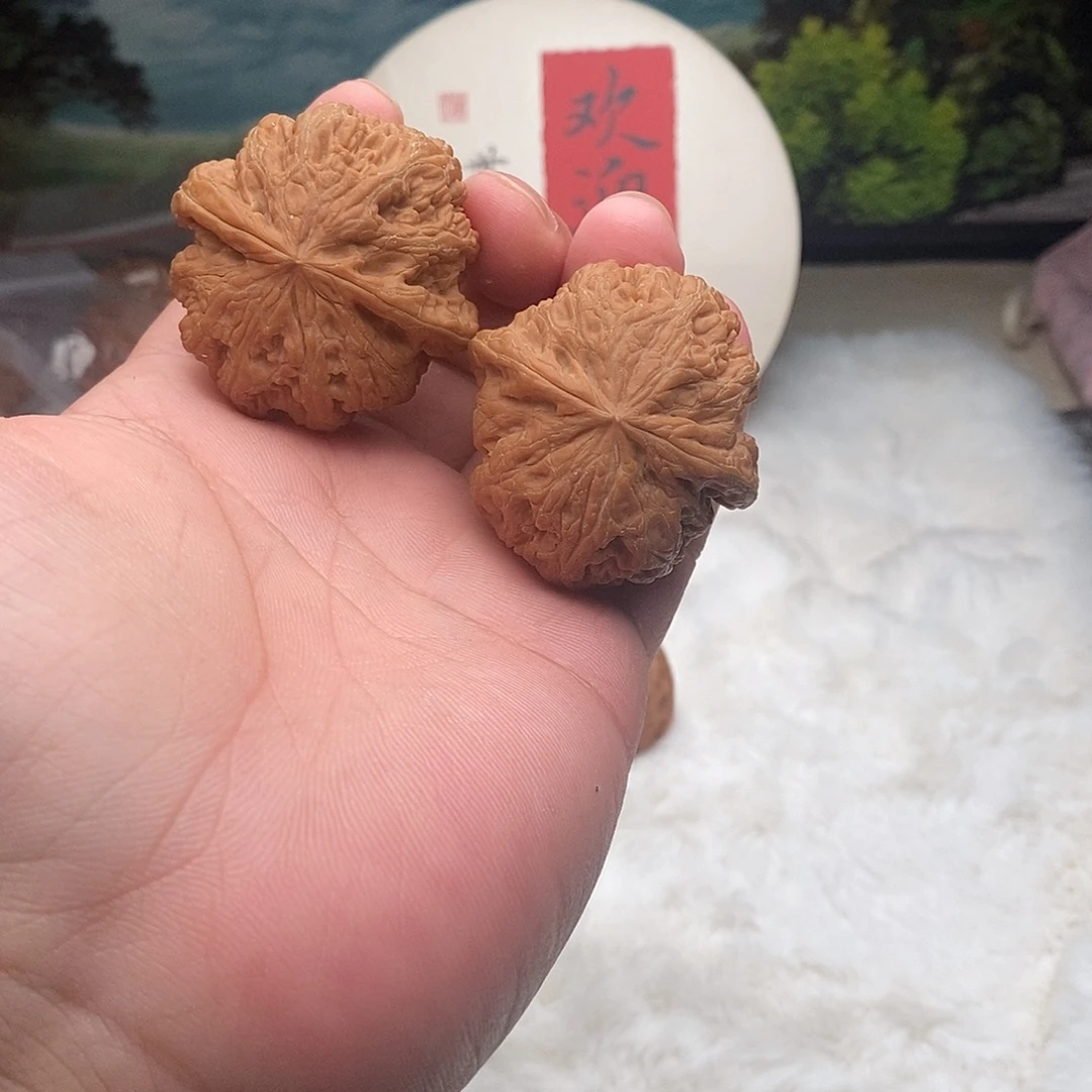 文玩核桃吊坠45大粗筋