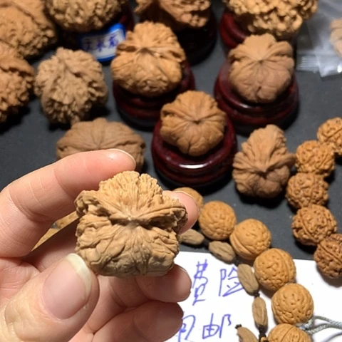0*1有嗑碰异形一个