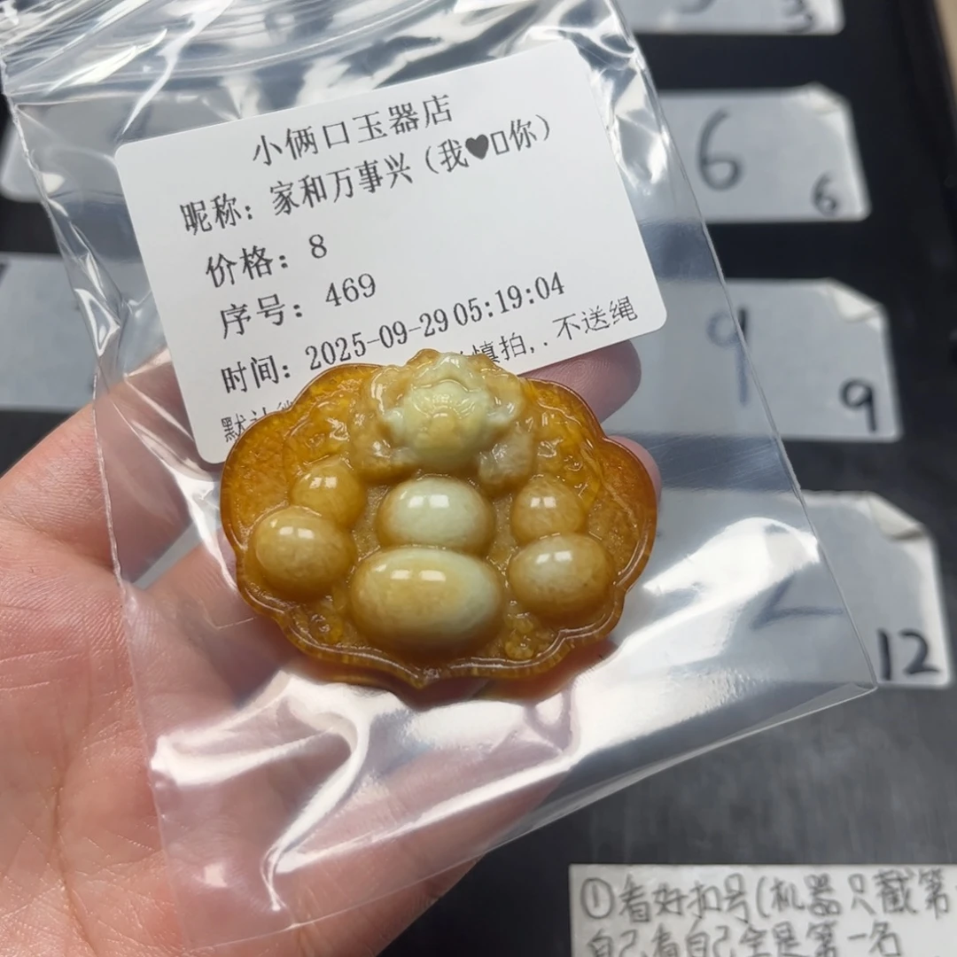 家***）蛇纹石玉未镶嵌颈饰