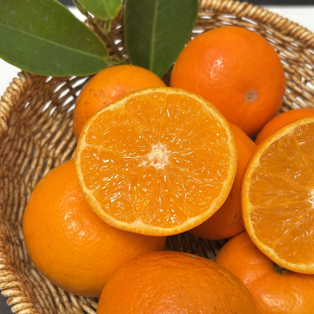 无籽蜜桔甜度高风味浓郁果肉细腻化渣爆汁香甜5斤广西武鸣顺丰