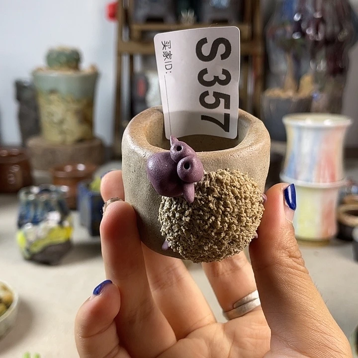 小白孤品 小羊盆 内口3.5左右百搭