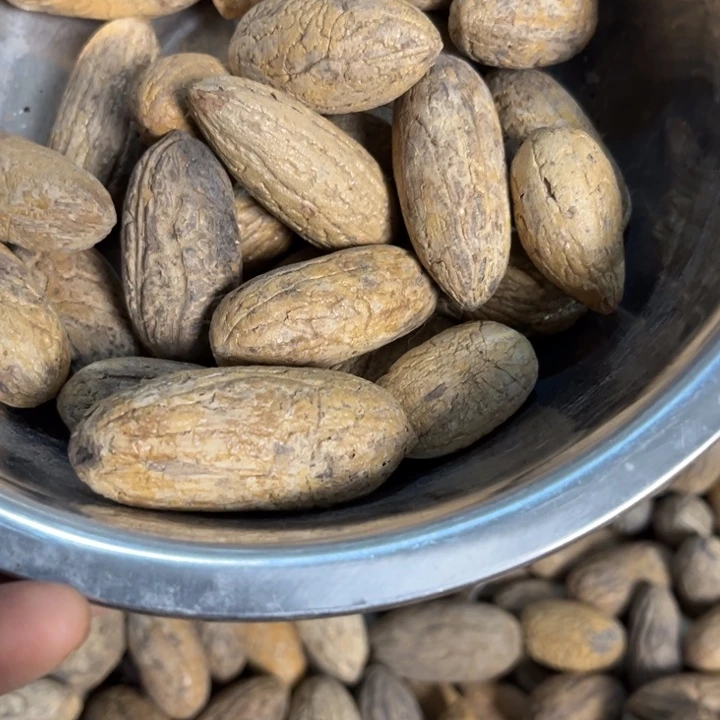 千眼菩提吊坠千眼菩提老小果 30 个。