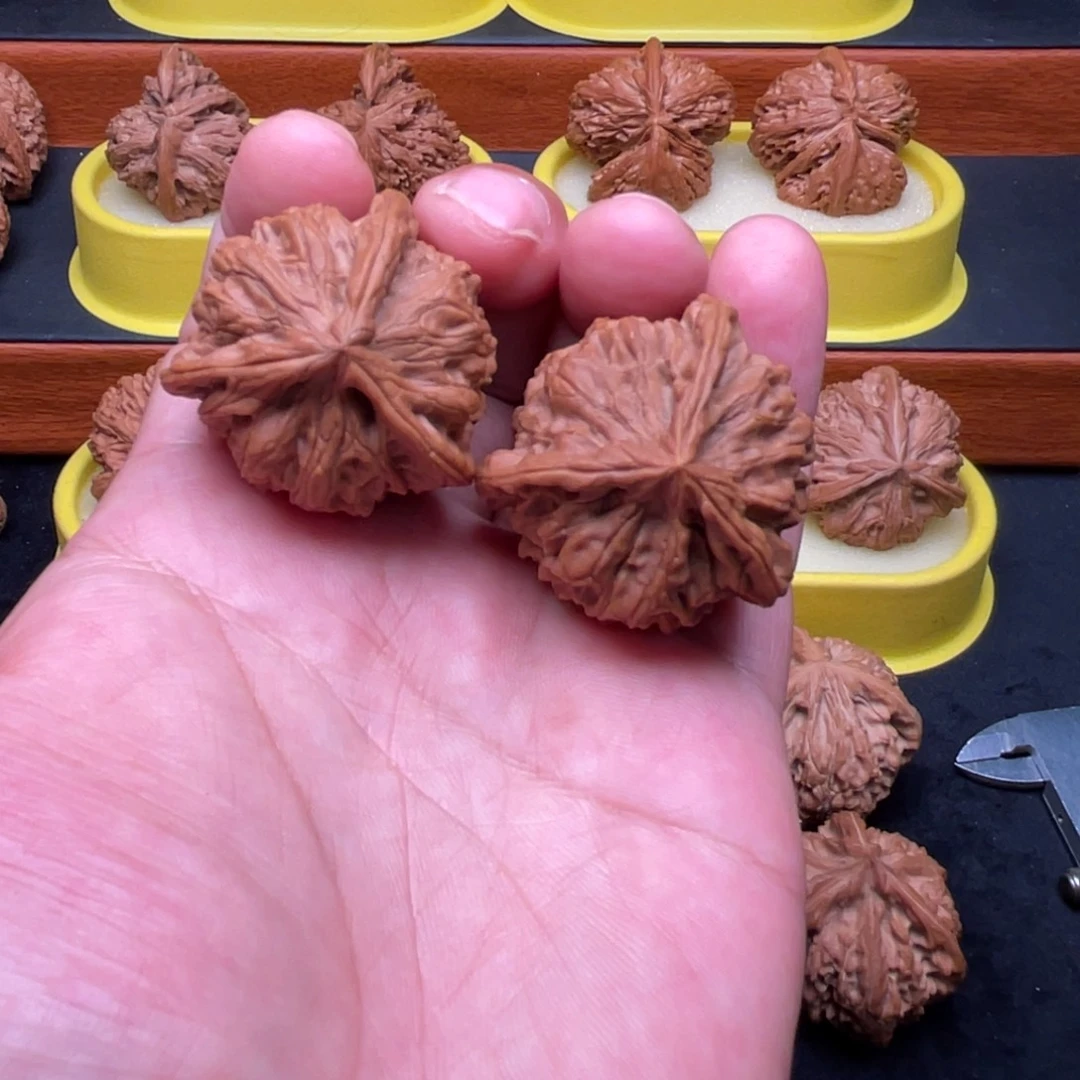 手串/手链核桃野生三棱正奔39.5