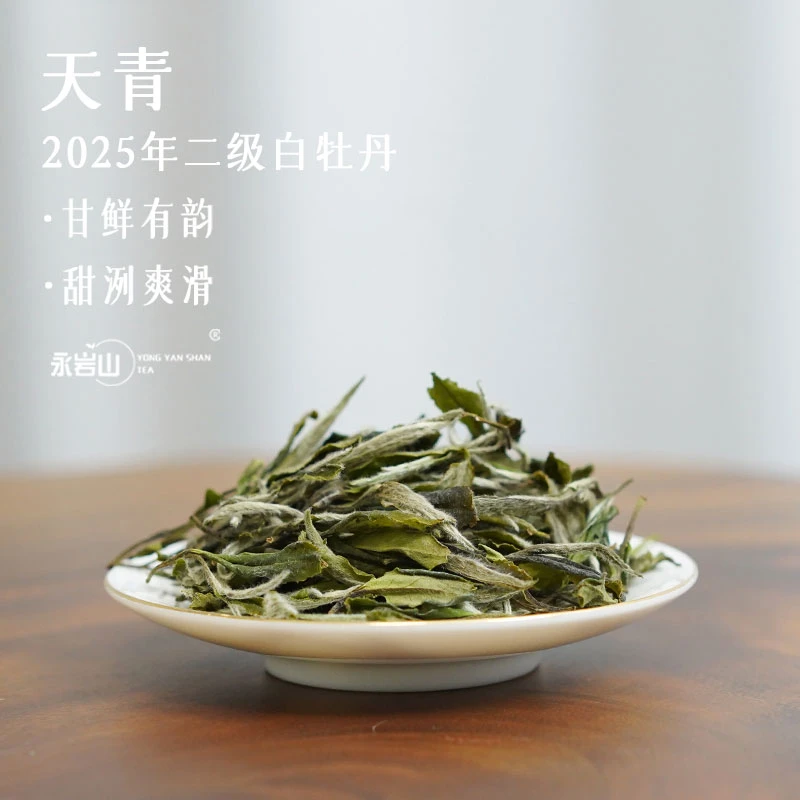 【永岩山】2025年白牡丹散茶/清甜鲜爽/正宗福鼎白茶【天青】