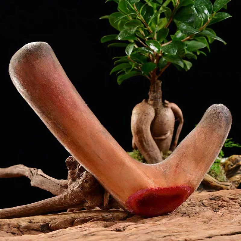 鹿茸整跟切段 现场实物为准