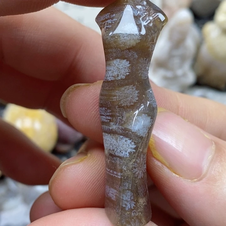 颈饰未镶嵌硅化珊瑚（珊瑚玉）