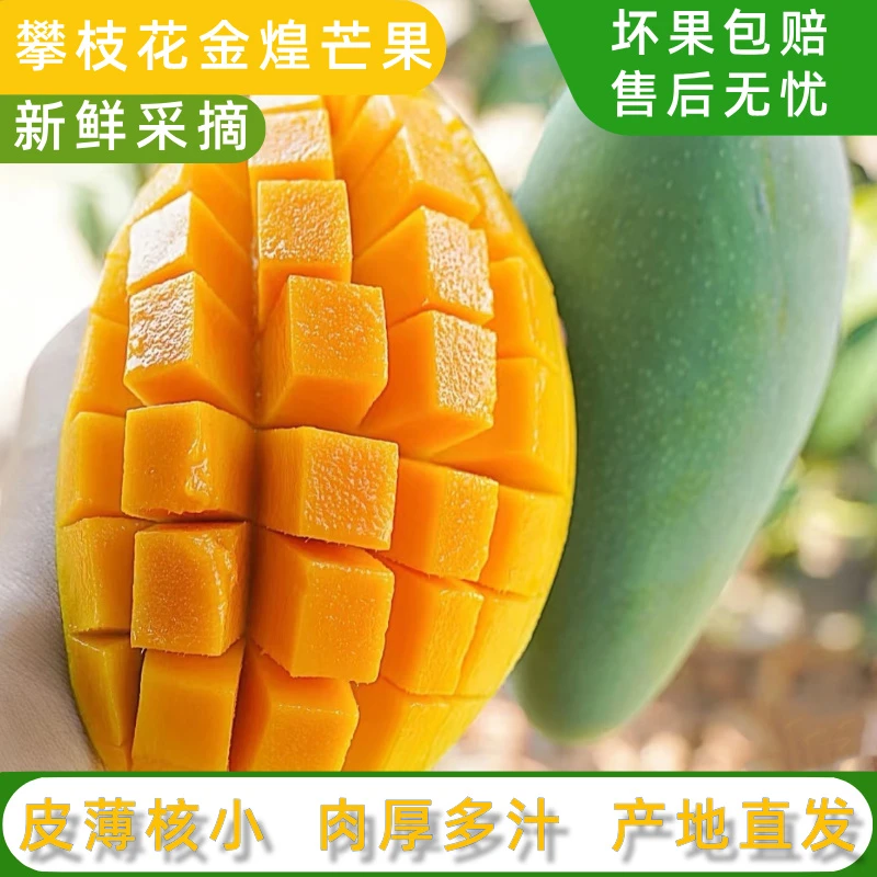 正宗攀枝花金煌芒果亚热带当季水果新鲜现摘核薄肉厚产地直发包邮