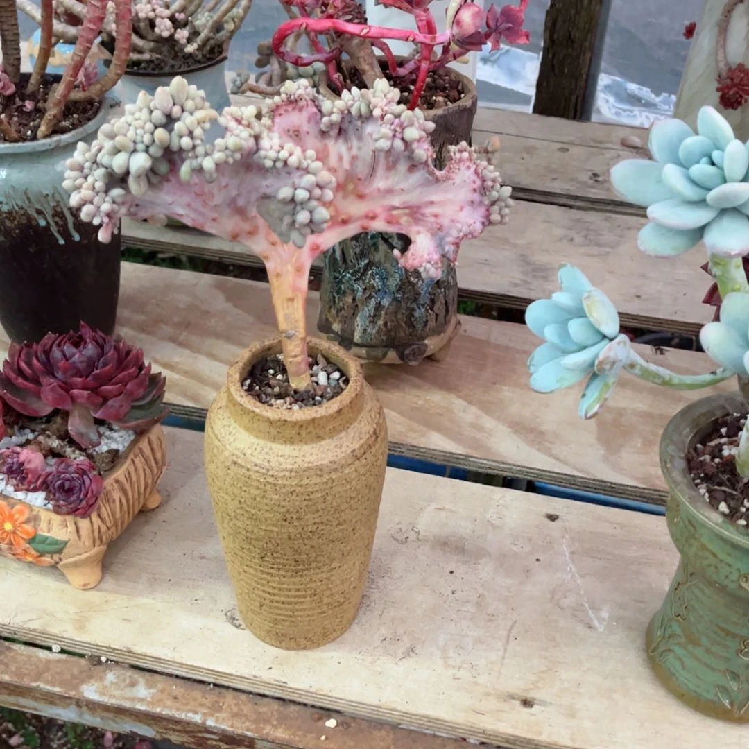 你是否还记得你曾经说的