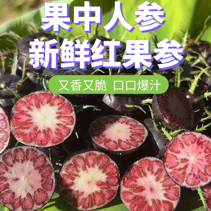 【精品礼盒】云南高山红果参蜘蛛果新鲜现摘酸甜多汁稀有脆甜大黑果