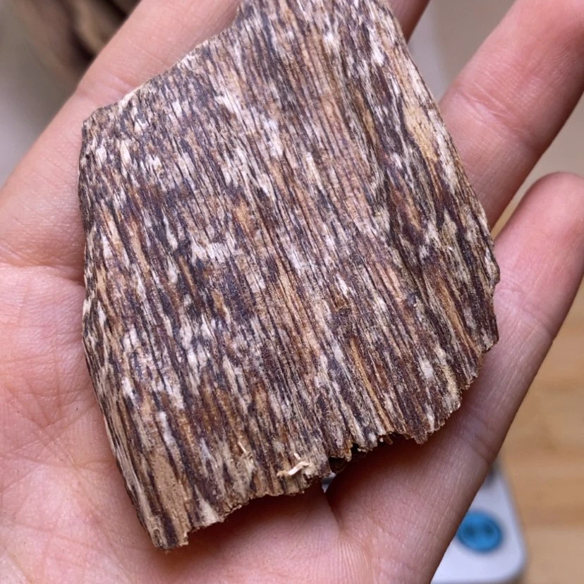 【闪购商品】香榧木海南6克