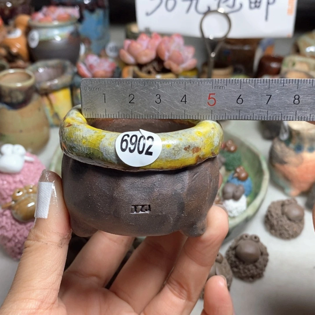 拍3送一个小礼物