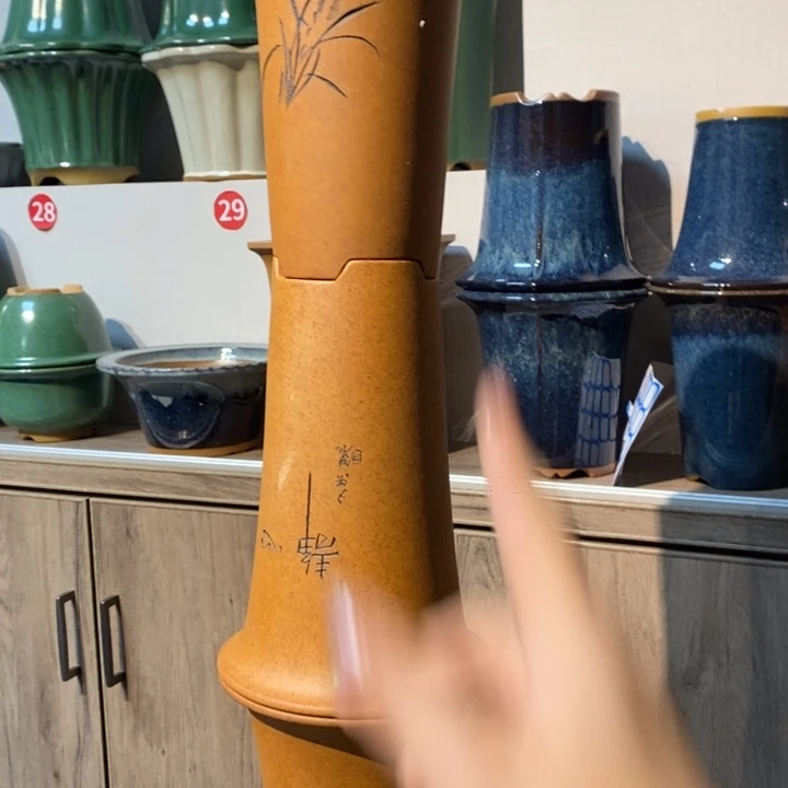 紫砂花盆夏***露福利来啦