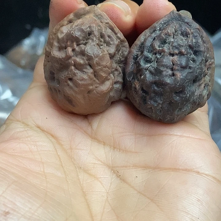 文玩核桃把件云南铁核桃基地75