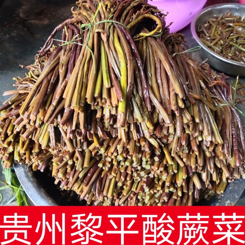 贵州黔东南黎平酸蕨菜本地特产野生蕨菜纯手工腌制酸蕨菜下饭菜