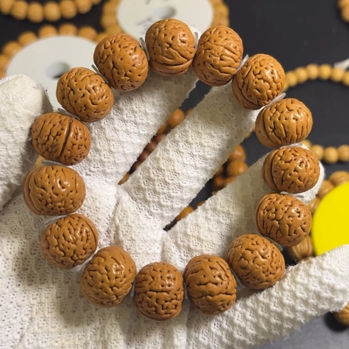 9号20尺寸金鱼肚全品