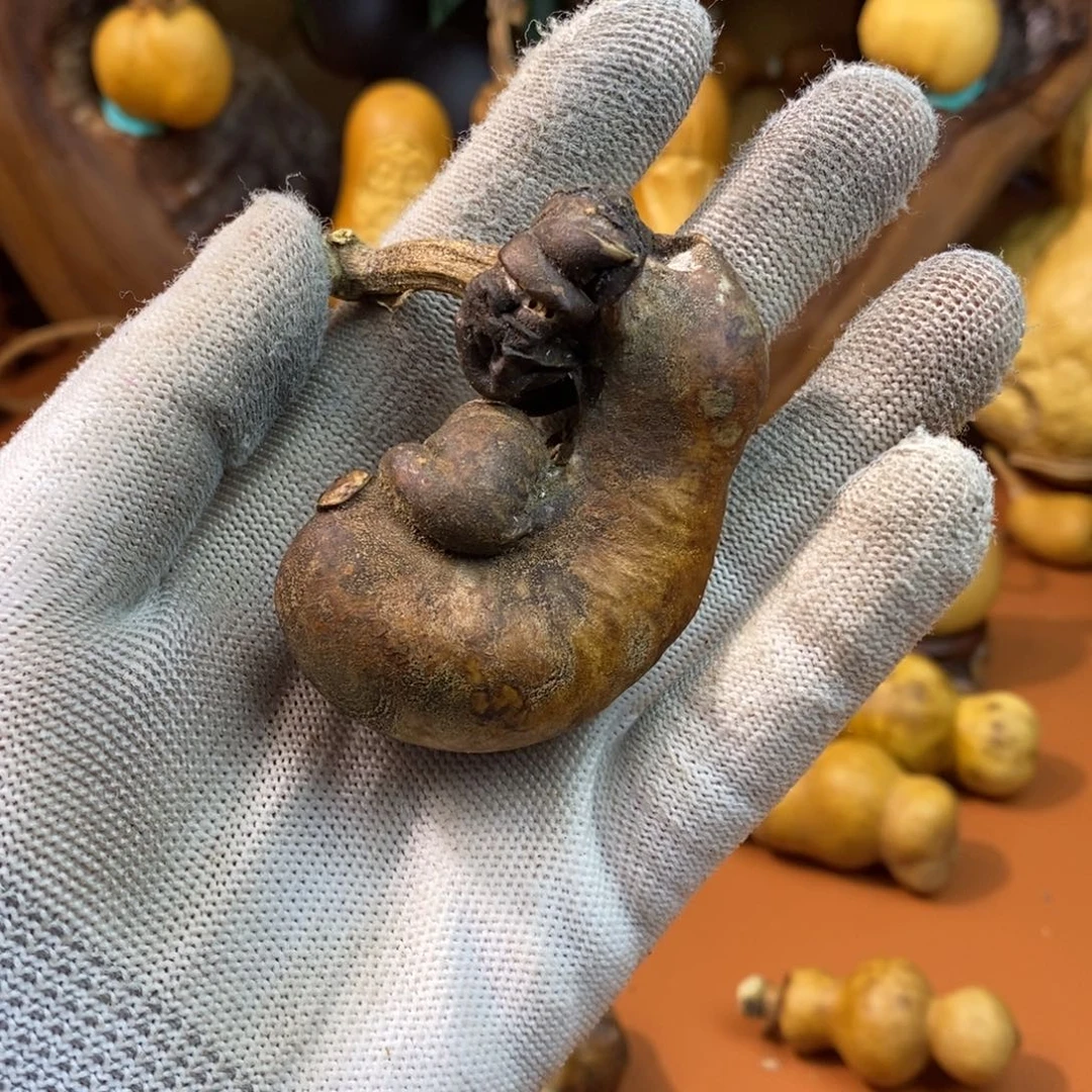 飞***教练咯教练咯教练咯