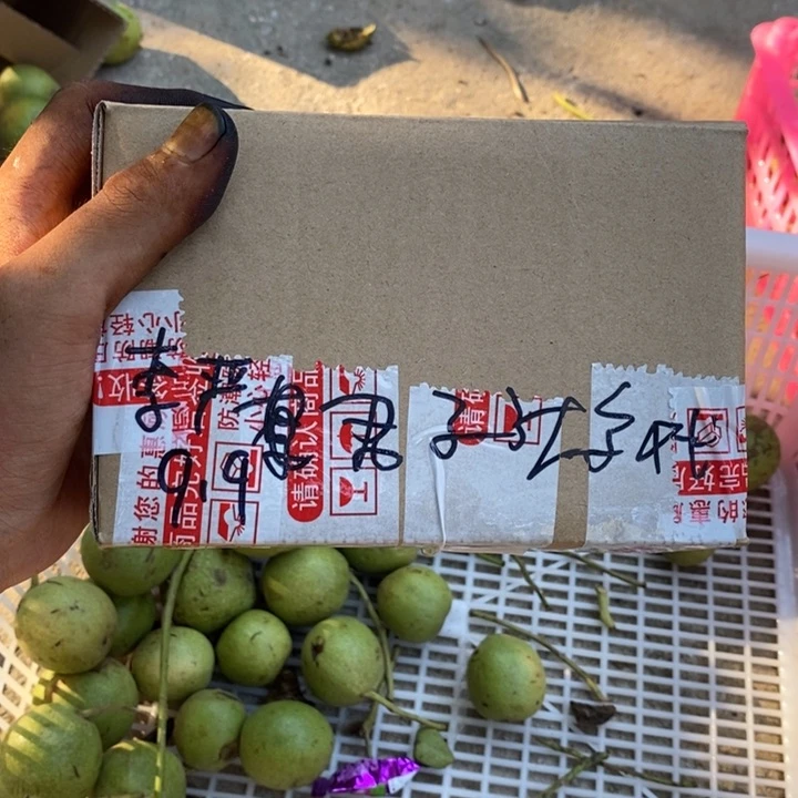 文玩核桃把件李*
