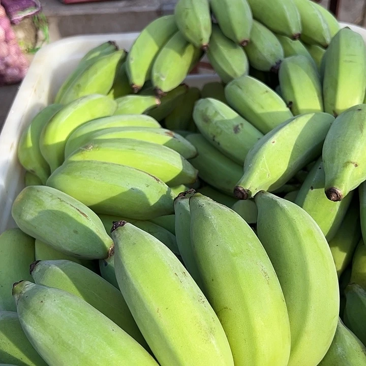 中国大陆野芭蕉5斤