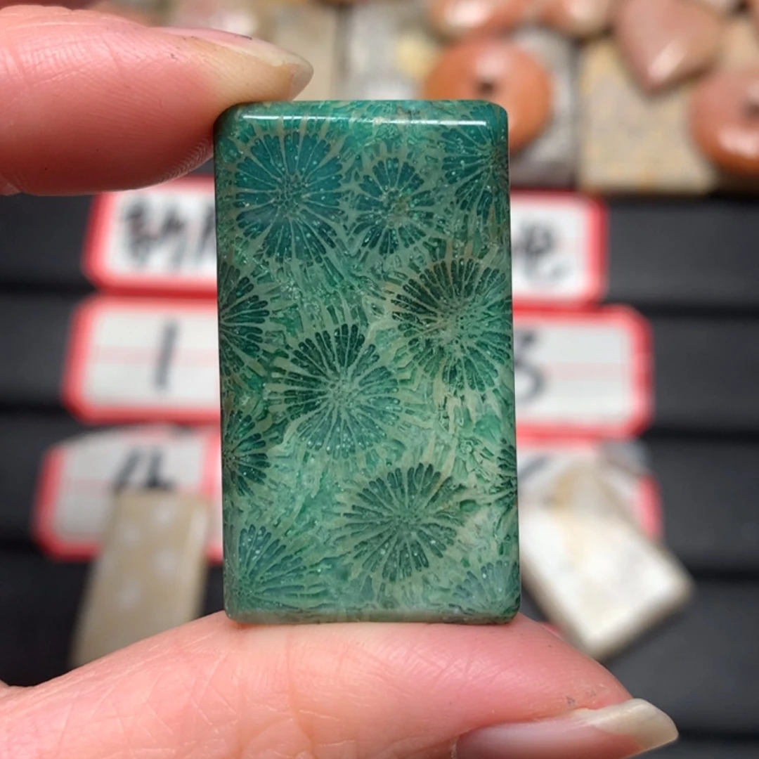 【闪购商品】硅化玉颈饰未镶嵌k***n