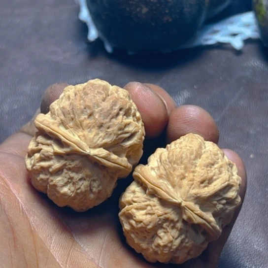 核桃卡40涟漪28号