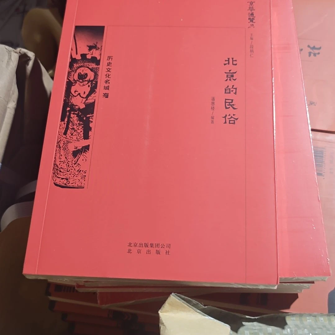 北京的民宿平装库存书