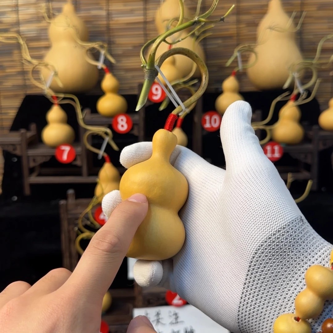 知***8啊啊啊啊啊啊啊啊啊啊