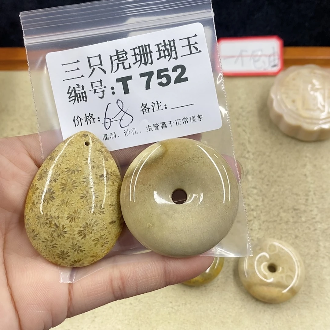 硅化珊瑚（珊瑚玉）1未镶嵌飘