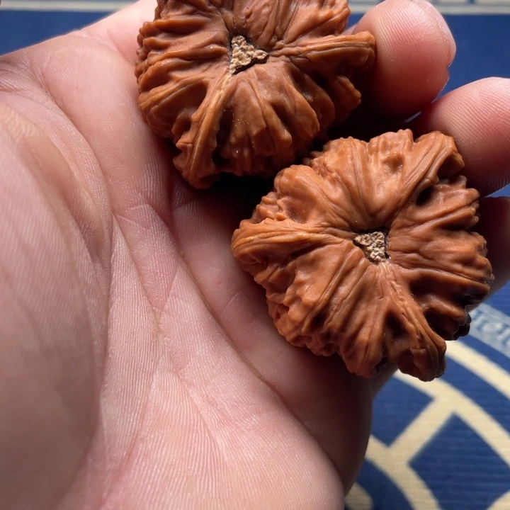 明***琦吊坠文玩核桃三棱三棱三棱三棱