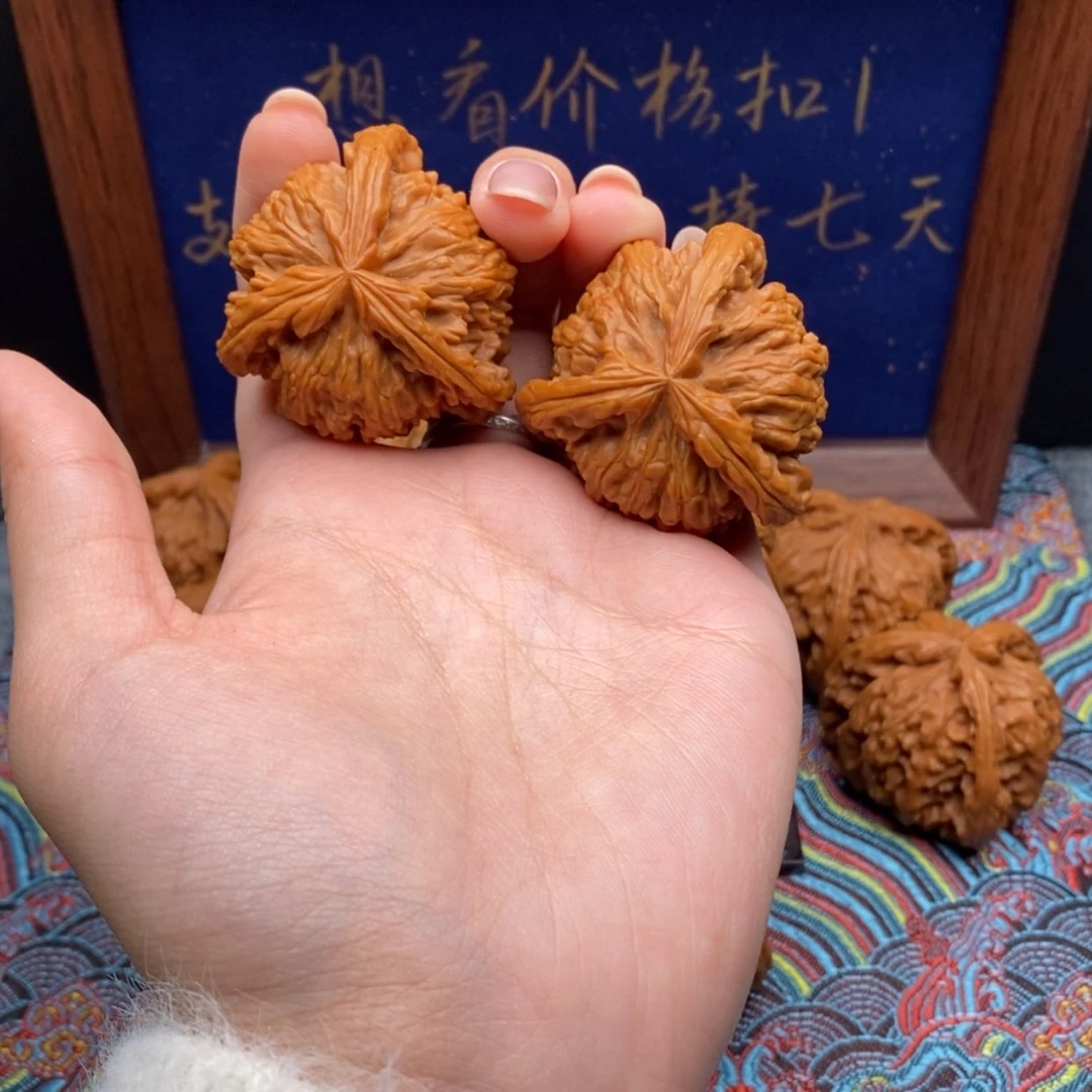 【闪购商品】山***峰白狮