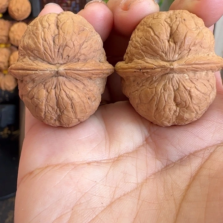 吊坠文玩核桃金丝龙珠有沙眼36