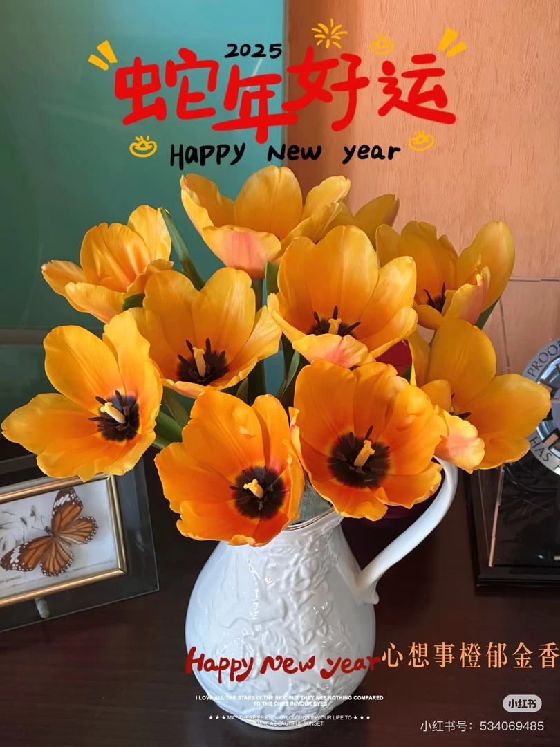 【花甜悦夏优选】心想事橙郁金香鲜花（百分之十不售后3个订单包邮）