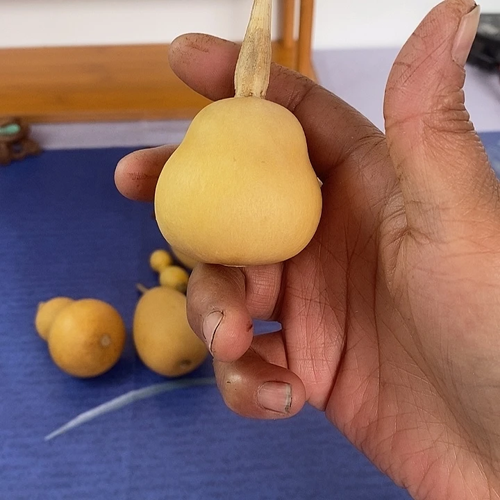 大****葫芦手把件葫芦摆件