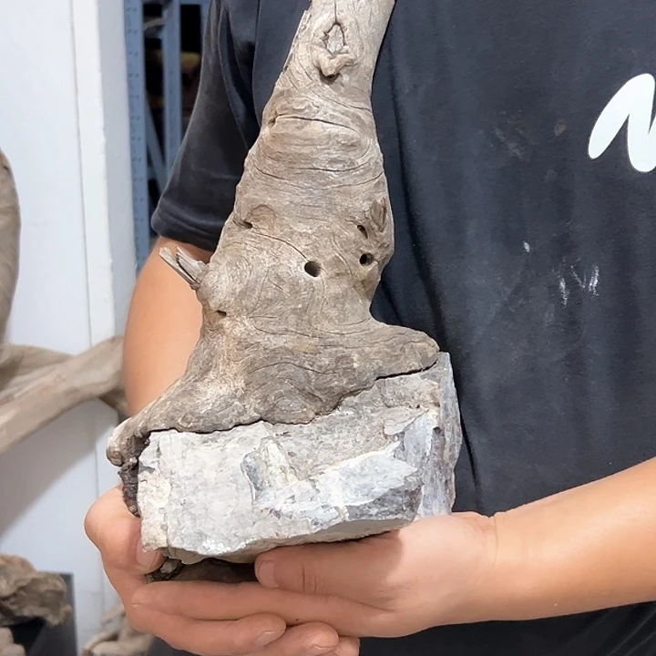 柏木麦**佑我们的生活也是如此吧哈哈我