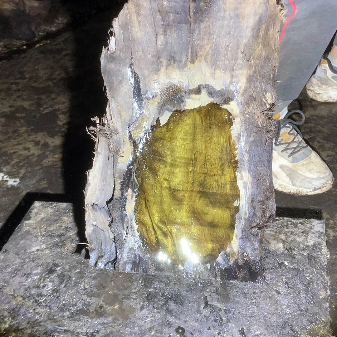 用****0金丝楠阴沉木毛料